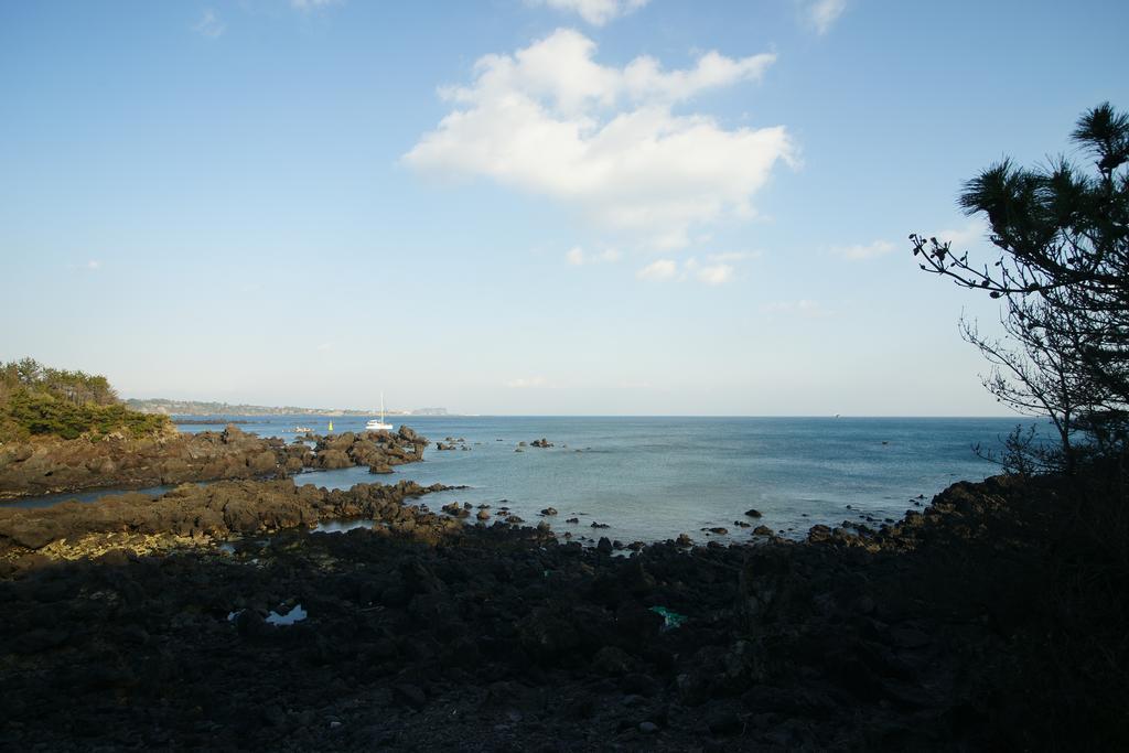 Vila Sunny Day Jeju Sogüpcho Exteriér fotografie